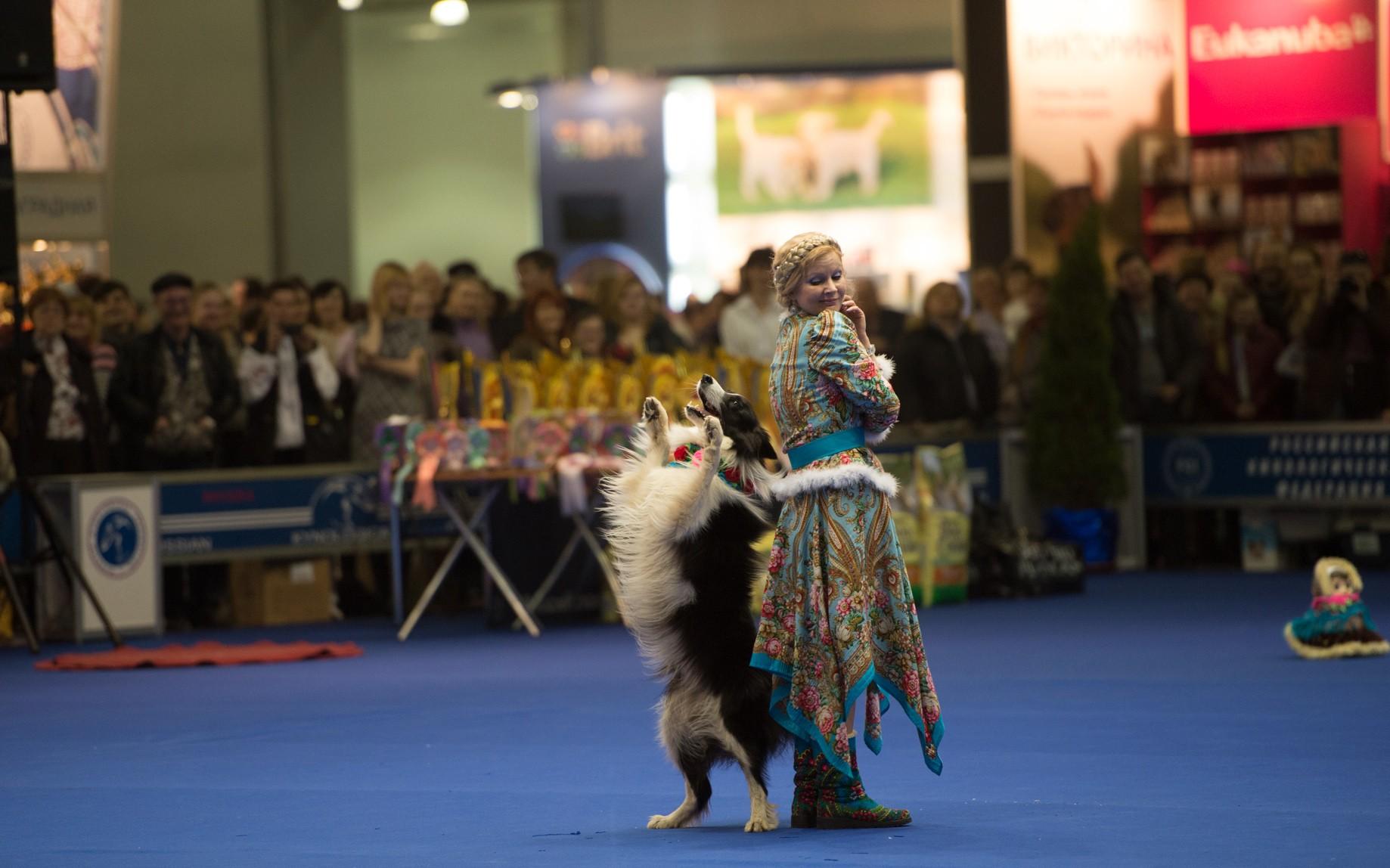 Международная выставка собак
