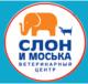 ветеринарная клиника Слон и Моська, Улица Образцова