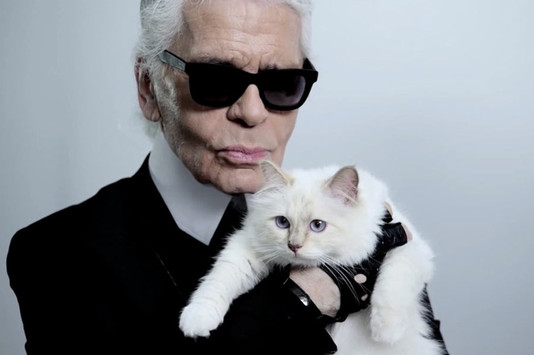 Дизайнер Карл Лагерфельд хочет жениться на своей кошке