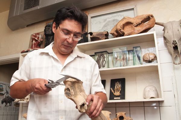 Археологи Башкирии обнаружили челюсть пещерного льва