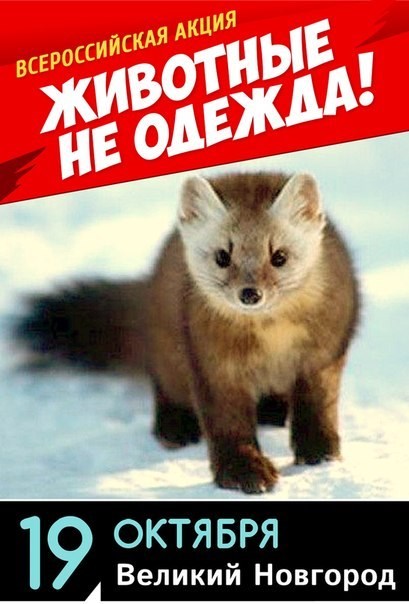 «Вита» проведет всероссийскую акцию против использования одежды из убитых животных
