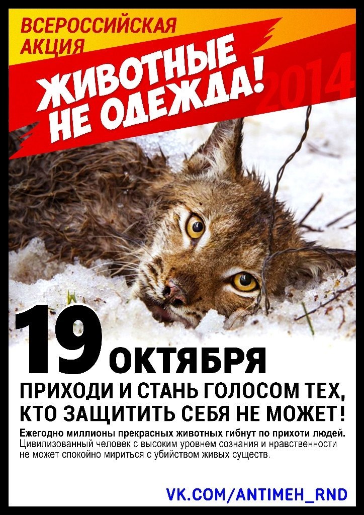19 октября в Ростове-на-Дону пройдет пикет «Животные – не одежда»