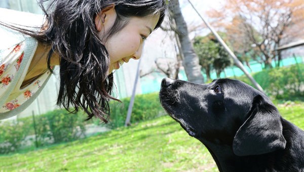 Японские ученые разгадали секрет дружбы собаки и человека