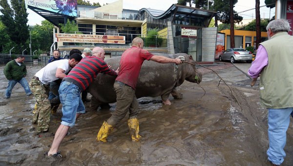 Тбилисский зоопарк отказался от помощи из Москвы
