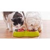 Рекомендации по кормлению собак и кошек